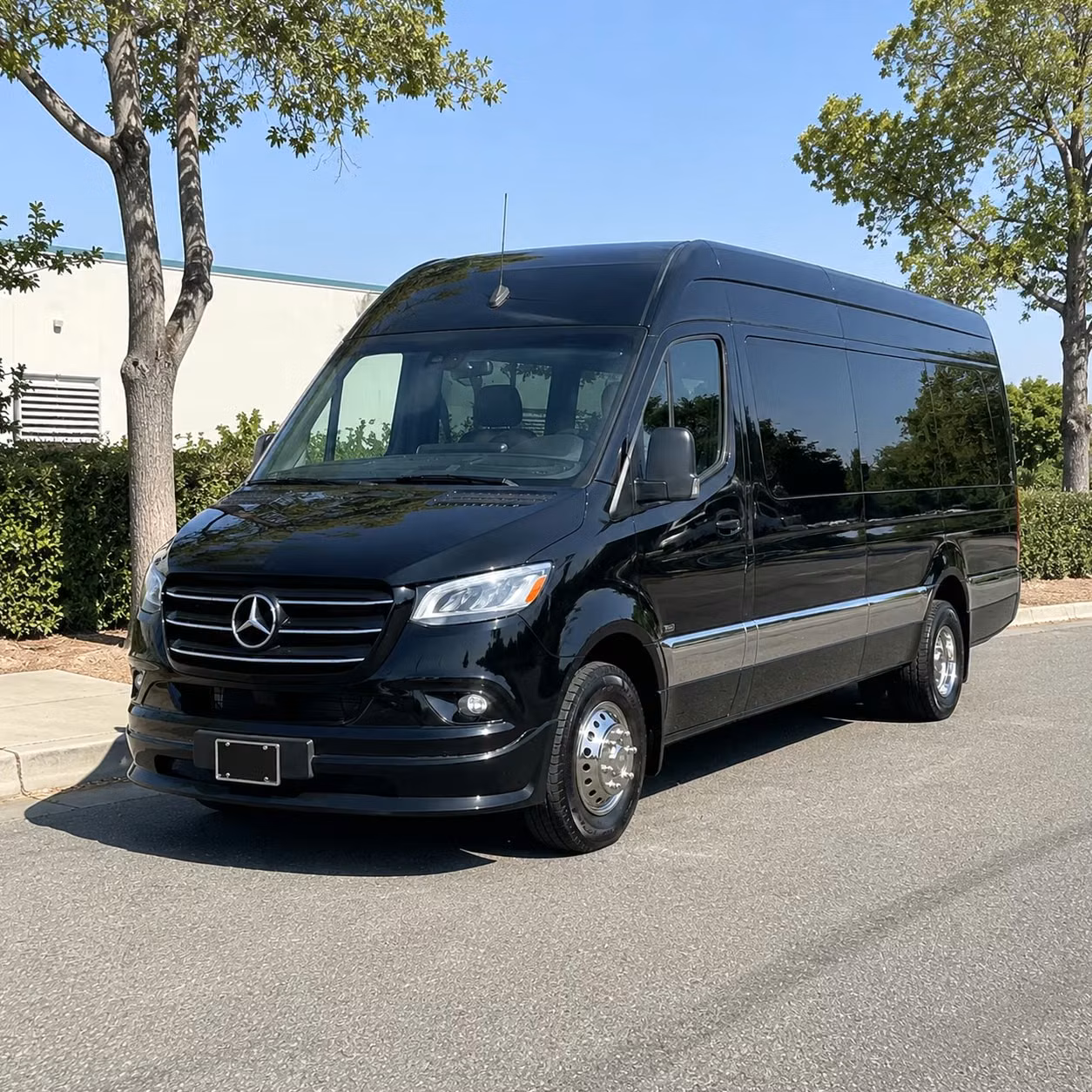 sprinter limousine